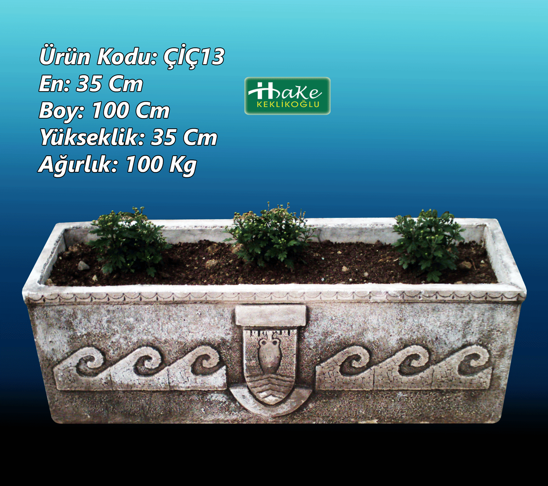 Beton Saksı ve Çiçeklikler