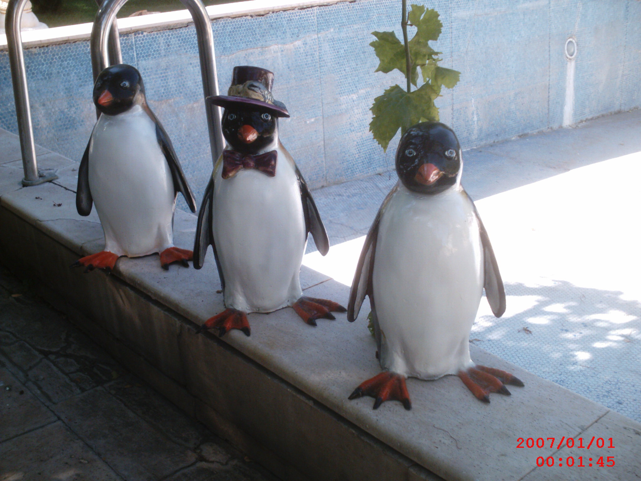 bay penguen; fiber en.35 boy.33 yüks.50 ağr.2