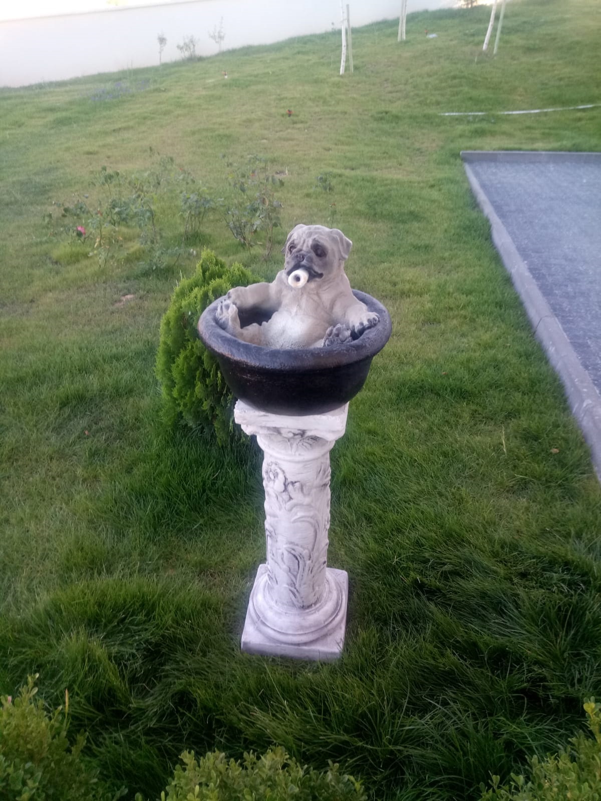 köpekli havuz: beton en.40 boy.40 yüks.35 ağr.3