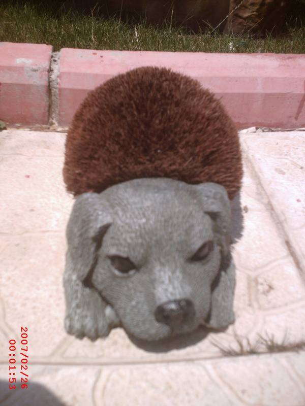 Köpek Paspas ;Fiber (En:14Boy:30Yüks:10Ağr:3)