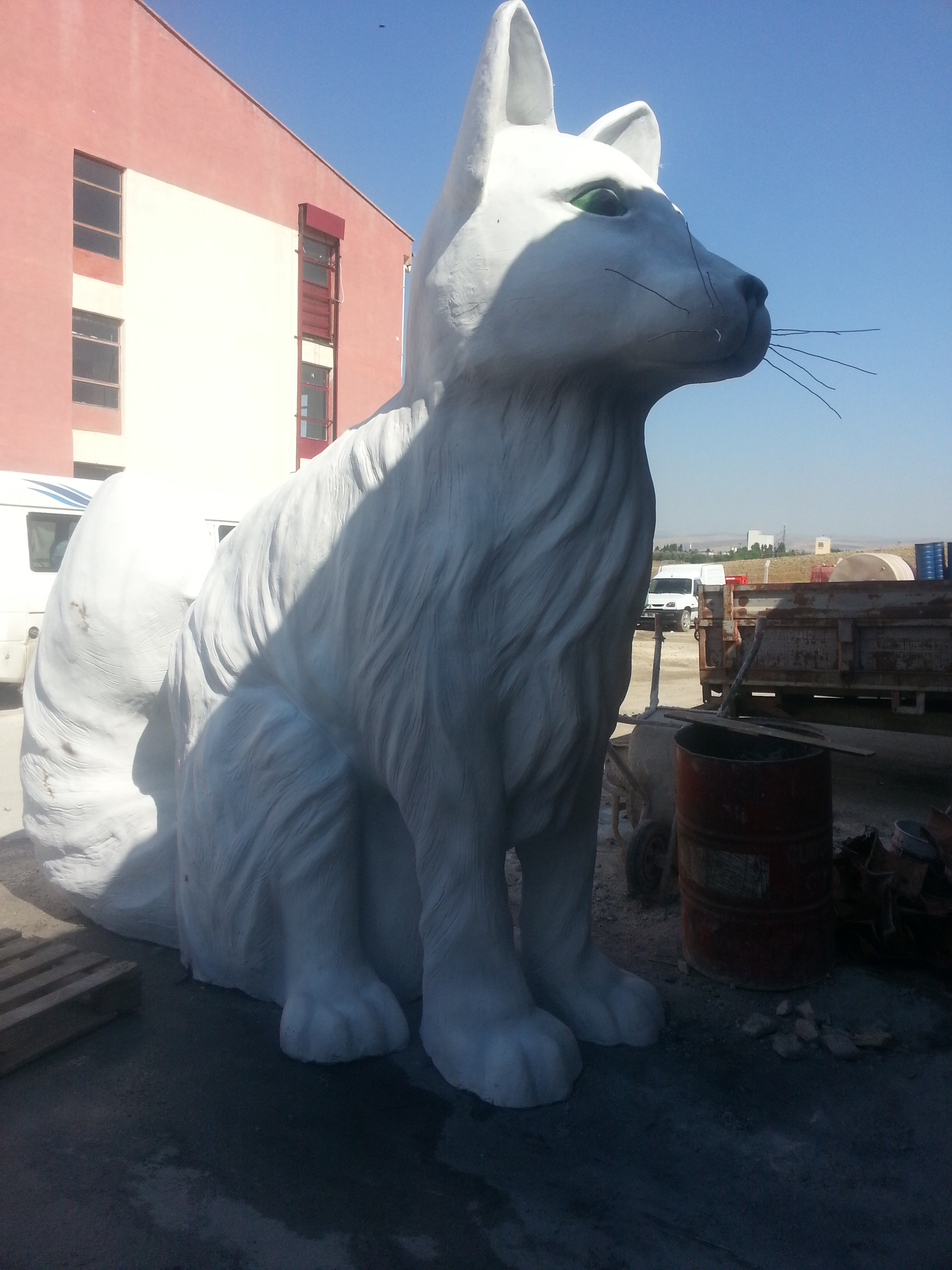 dev ankara kedisi ; en:350 boy:120 yük:320 agr.110