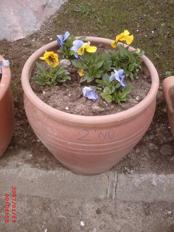 2 No Çömlek