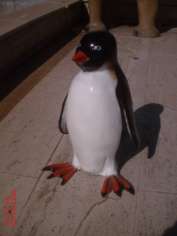 Bayan Penguen ;Fiber (En:35Boy:33Yüks:40Ağr:2)