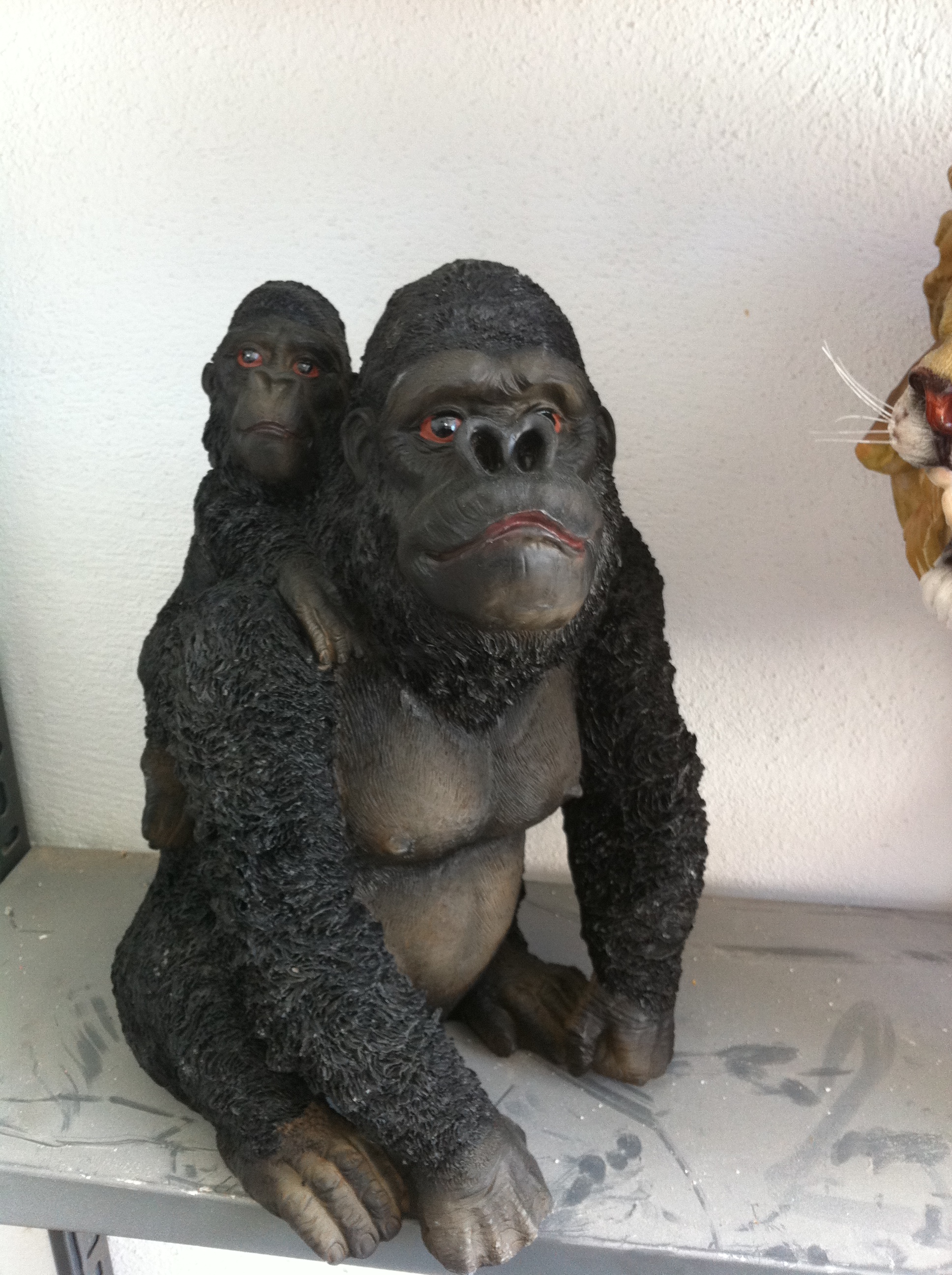 malezya orangutan; promit en.22 boy.22 yüks.33 ağr.2