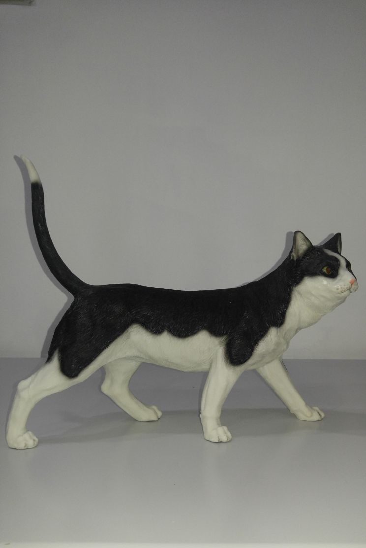 sevimli kedi: promit en.13 boy.40 yüks.30 ağr.2