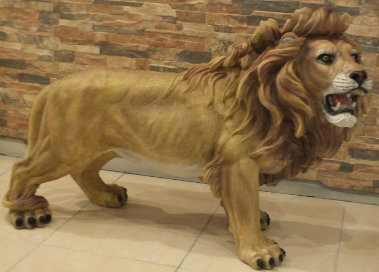 Afrika Bakan Aslan(Sağ);Promit (En:40Boy:107Yüks:73Ağr:10)