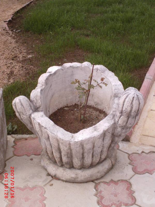 Kaktüs Çiçeklik;Beton (En:50Boy:65Yüks:50Ağr:50)