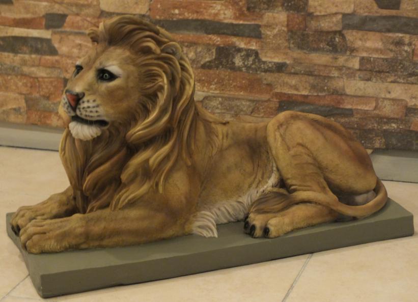 Afrika Yatan Aslan(Sol);Promit (En:28Boy:65,5Yüks:40Ağr:6)