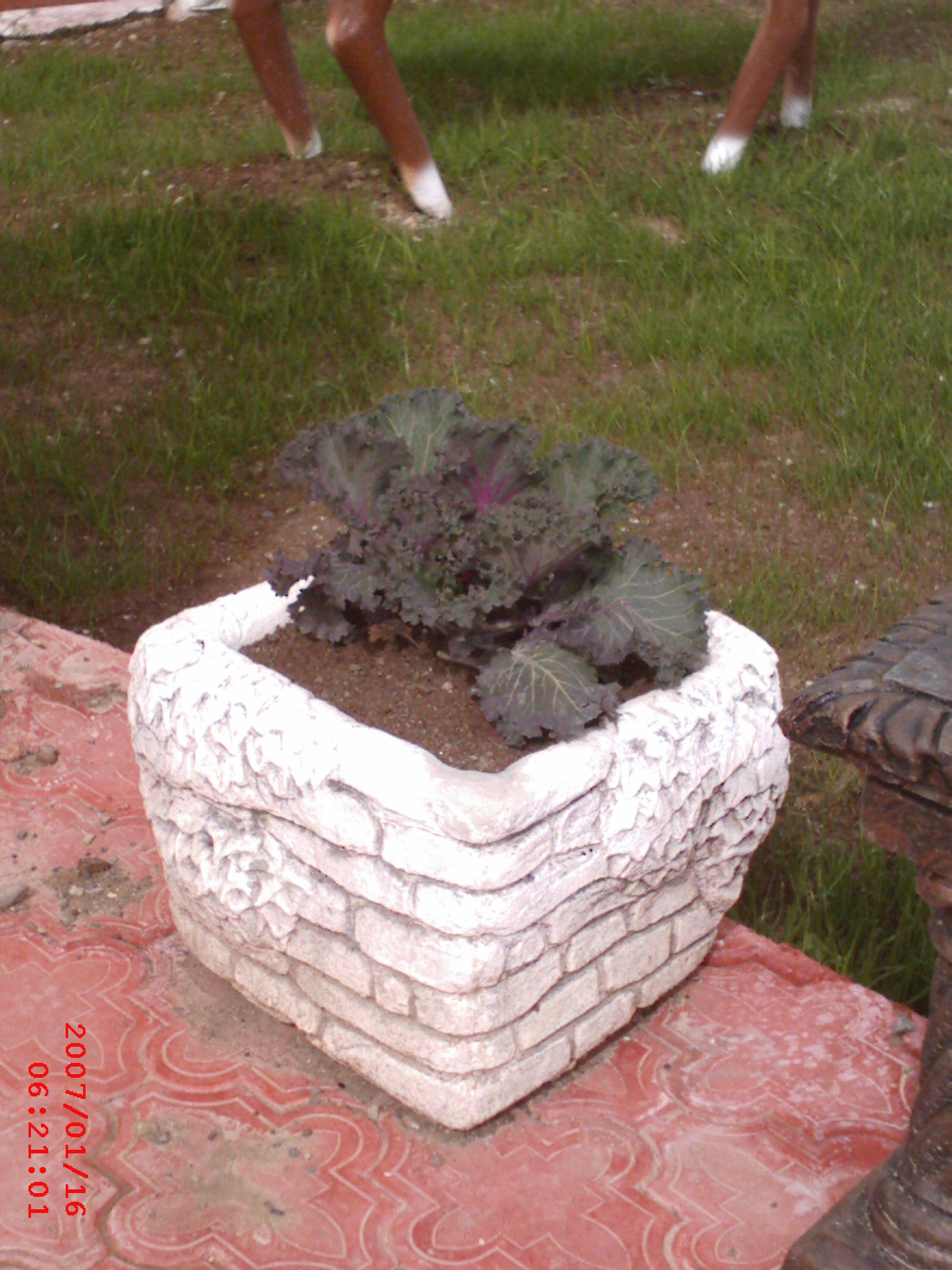 salkım saksı;beton en.40 boy.40 yüks.30 ağr.45
