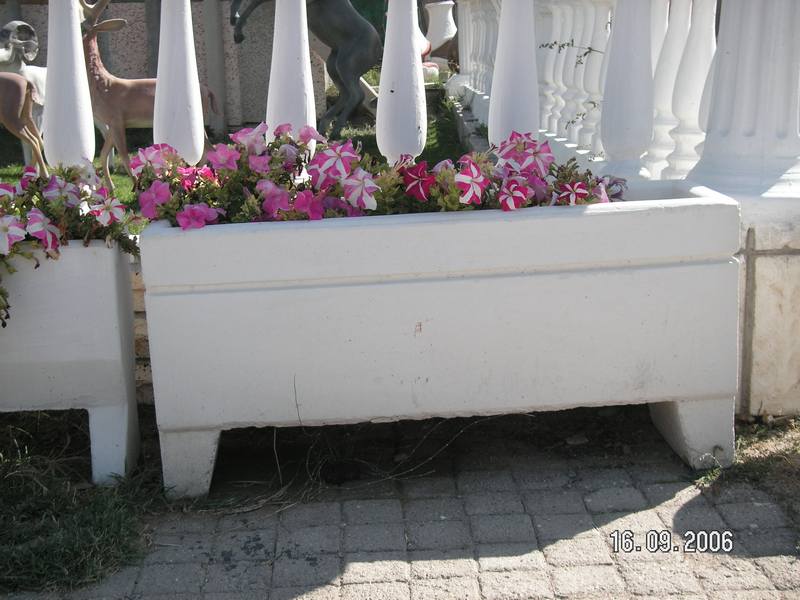 Orkide Çiçeklik;Beton (En:30Boy:100Yüks:55Ağr:90)