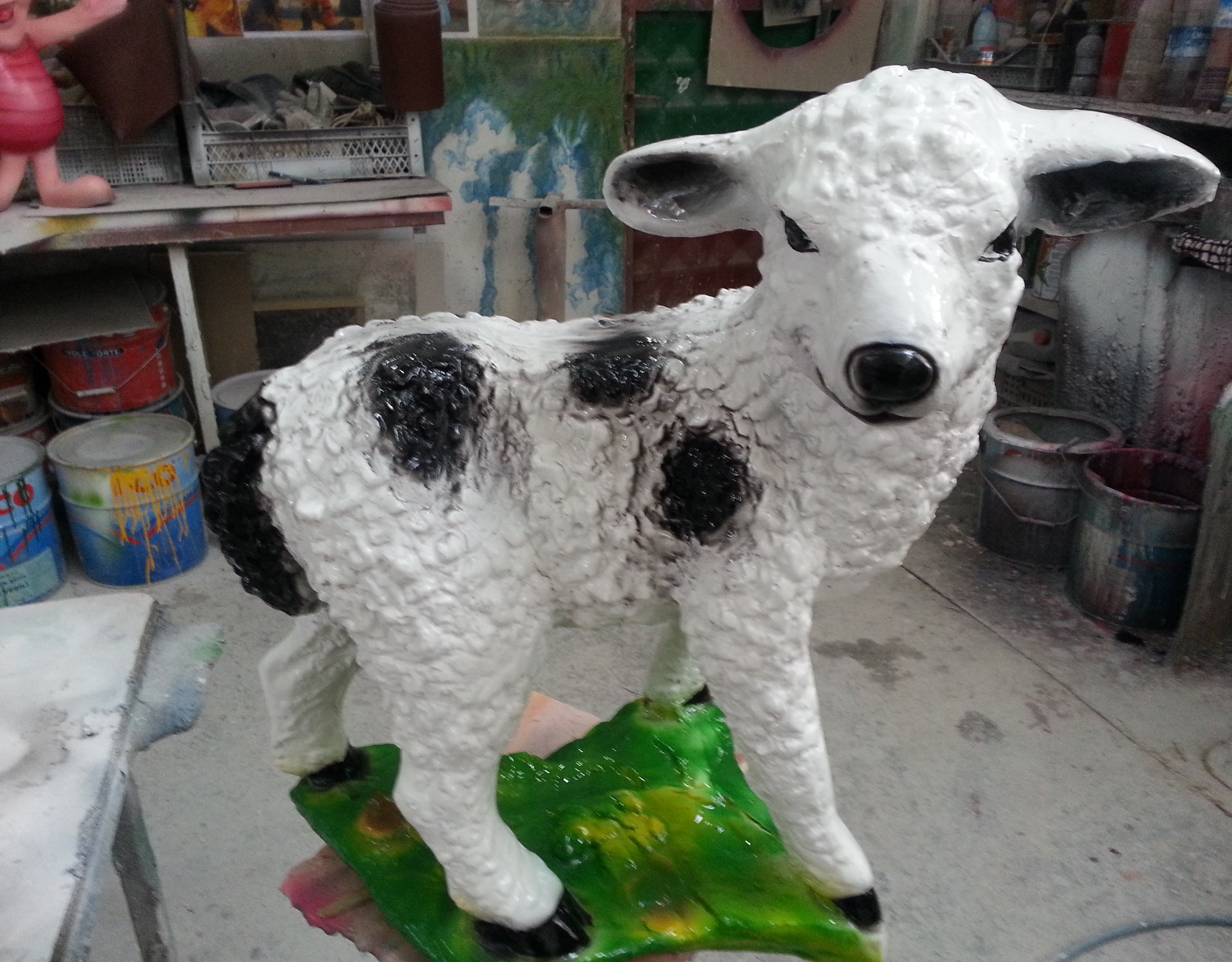 merinos kuzu; promit en.30 boy.60 yüks.50 ağr.5