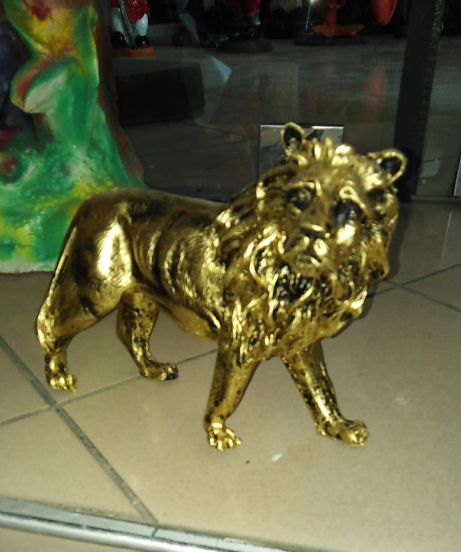 biblo aslan: promit en.12 boy.22