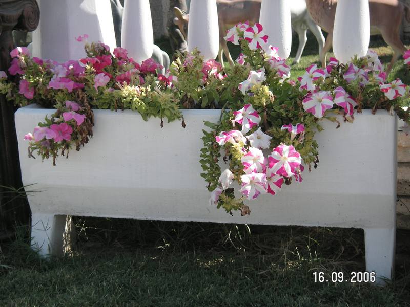 Sümbül Çiçeklik;Beton (En:20Boy:100Yüks:46Ağr:60)