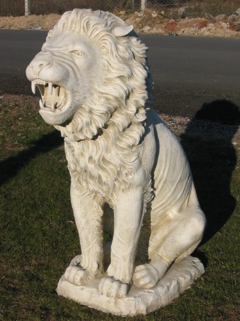 kükreyen aslan;fiber en.70 boy.70 yüks.130 ağr.20