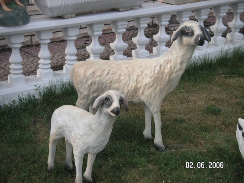 Koyun;Beton (En:30Boy:90Yüks:90Ağr:100)