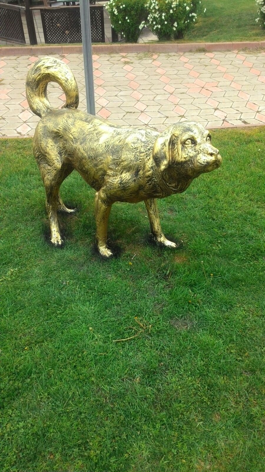 çoban köpeği: fiber en.50 boy.130 yüks.105 ağr.10