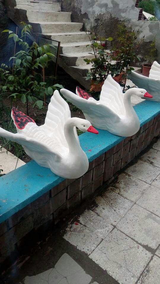 ördek uçan promit en:63 boy:80 yük:50 ağır:30