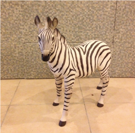 kenya Küçük Zebra;Promit (En:25Boy:55Yüks:51Ağr:5)