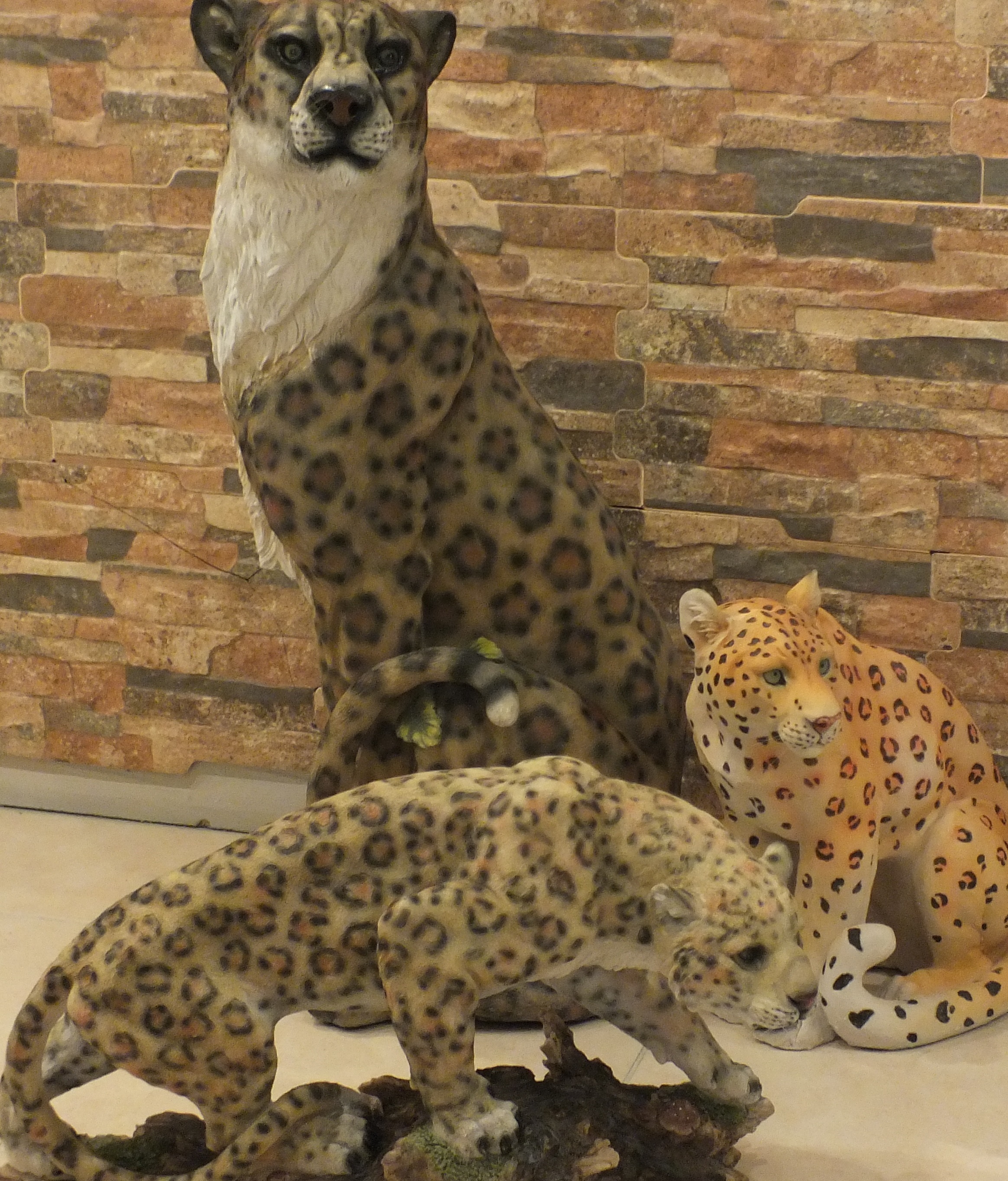 asya oturan leopar; promit en.40 boy.35 yüks.80 ağr.10