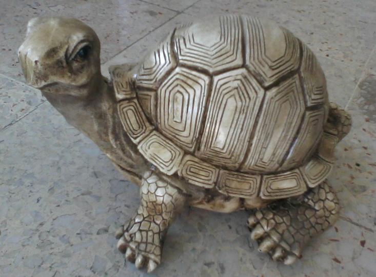 izmir Kaplumbağa ;Promit (En:24cmBoy:17cmYüks:30cmAğr:1kg)