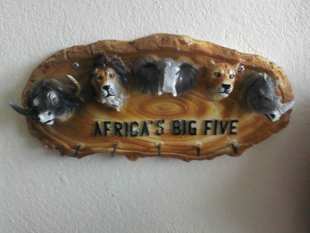 afrika askılık; promit en.12 boy.32 yüks.8 ağr.2