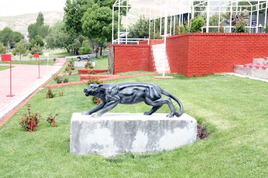 puma; fiber en.65 boy.180 yüks.70 ağr.10