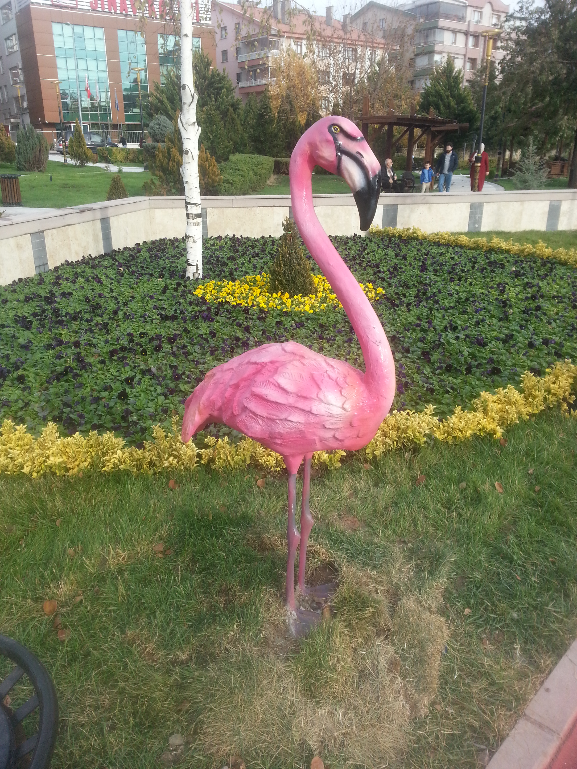 flamingo