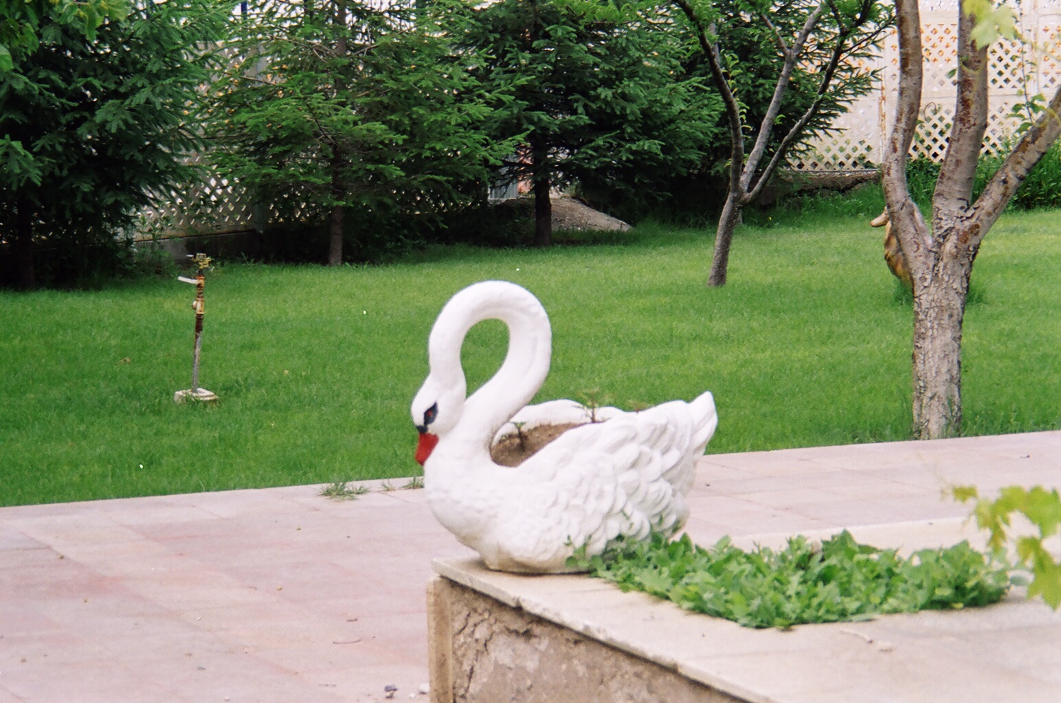 uyuyan kuğu; beton en.40 boy.55 yüks.55 ağr.40