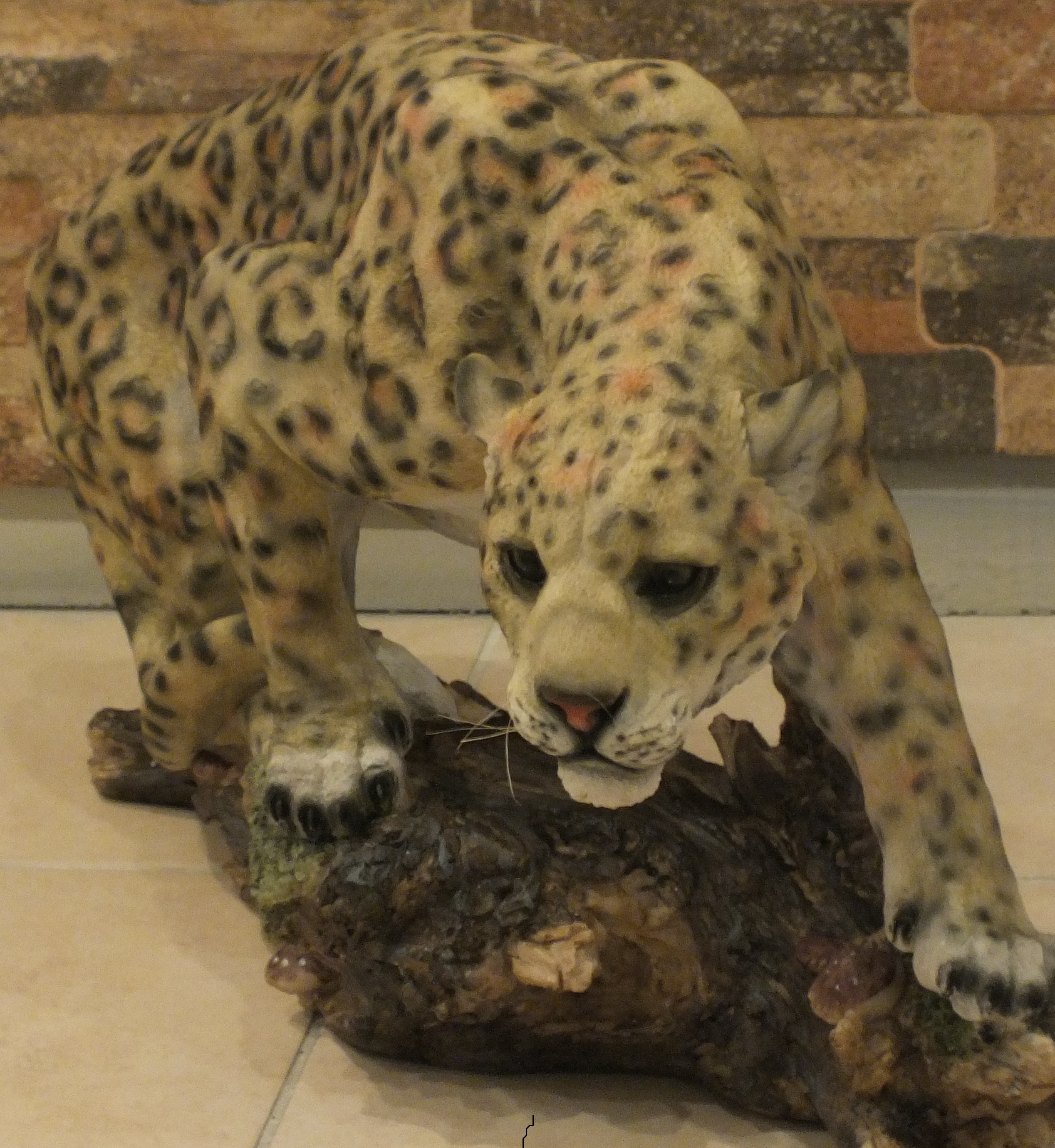 kayada asya leopar;promit en.21 boy.57 yüks.34 ağr.5