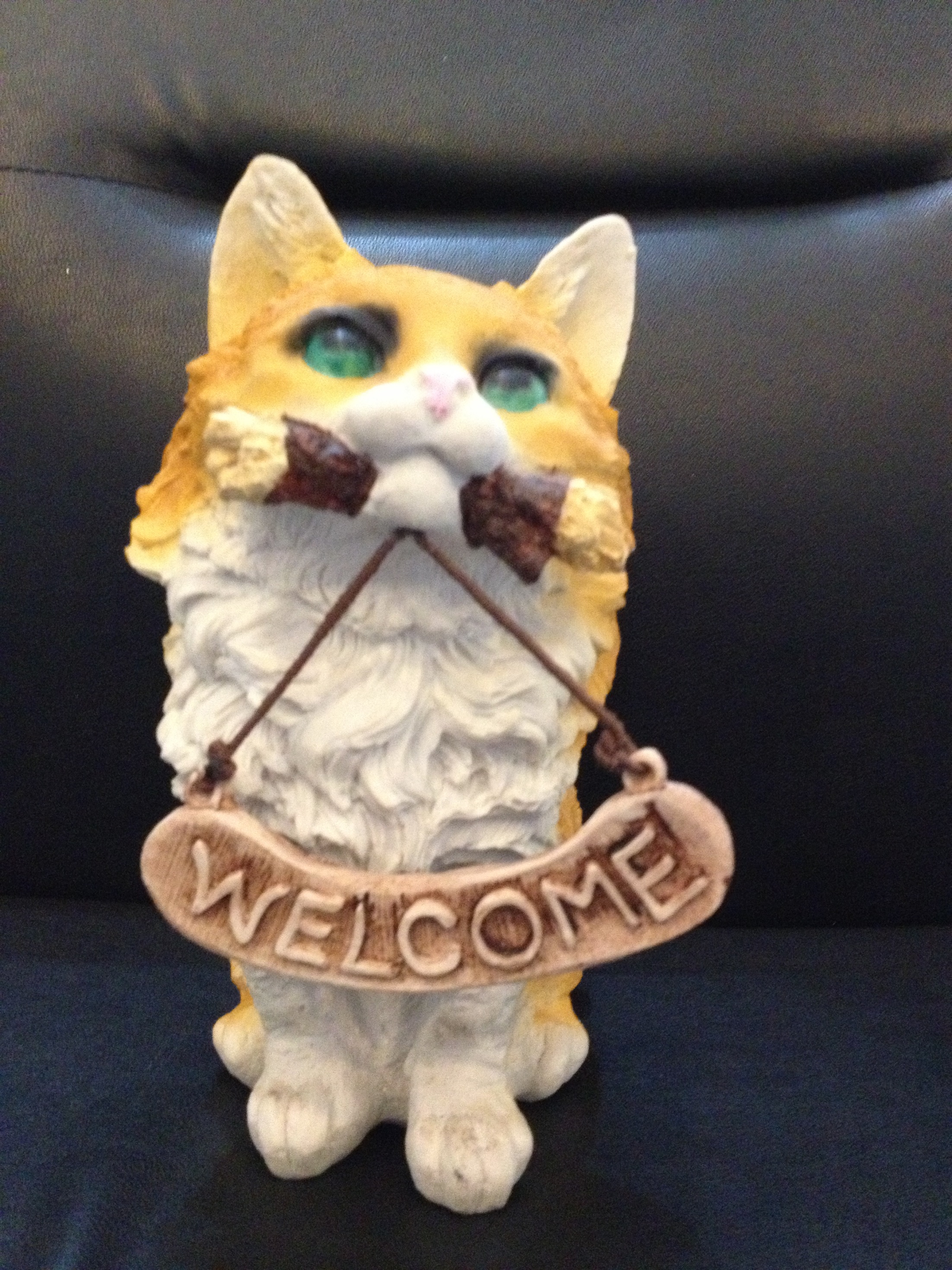 welcome kedi; promit en.10 boy.15 yüks.21 ağr.1