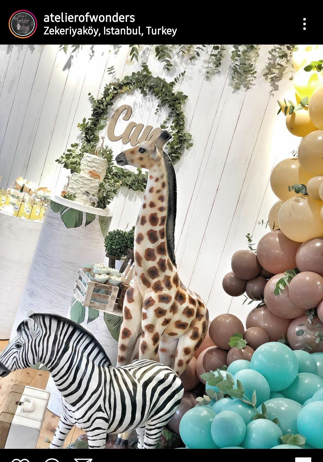 afrika zebra: promit en.30 boy.94 yüks.84 ağr.10